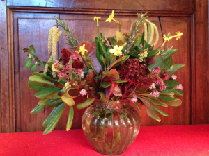 Bouquet de janvier de l'Oiseau-Lyre