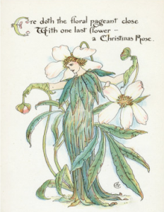 Walter Crane (1845-1915), La Rose de Noël (Christmas Rose) illustration pour Flora's Feast, A Masque of Flowers, 1889 ©Cassell & Company Limited