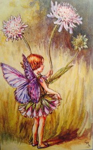 La fée des scabieuses, Le jardin féerique, © The Estate of Cicely Mary Barker, 1990