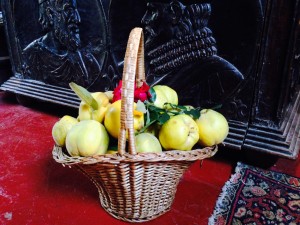 Panier d'automne : le cueillette des coings